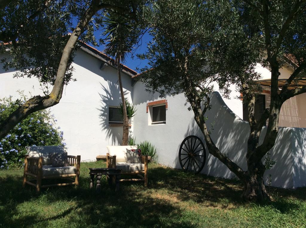 Terre de Boheme Hotel Vestric-et-Candiac Buitenkant foto